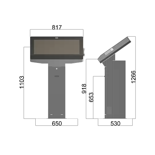 Queue Management Terminal - Kiosk Swallow